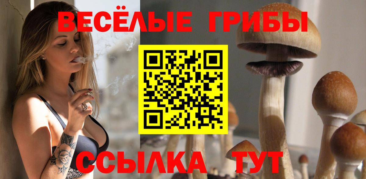 Псилоцибиновые грибы мицелий Фрязино