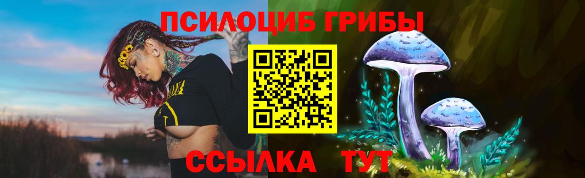 Псилоцибиновые грибы Psilocybine cubensis  Вход с VPN  Фрязино 